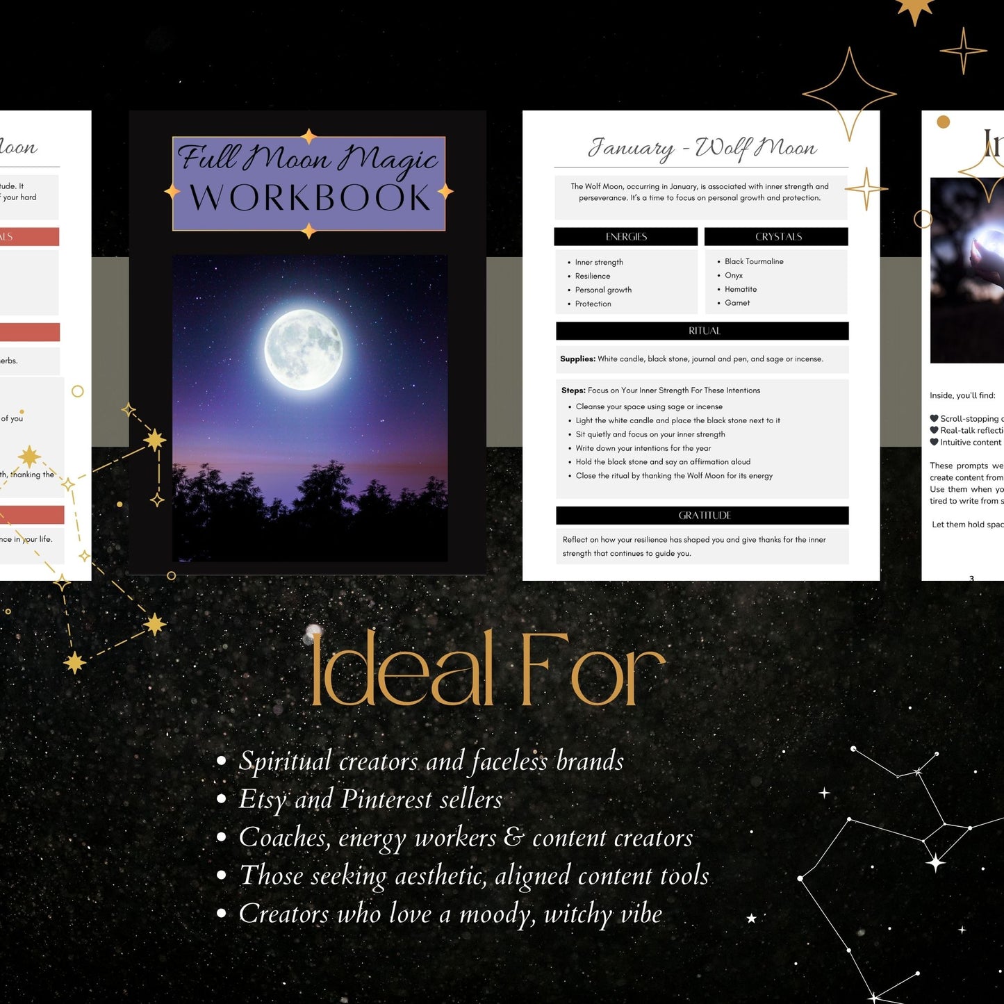 The Mystical Witch Creator's Vault