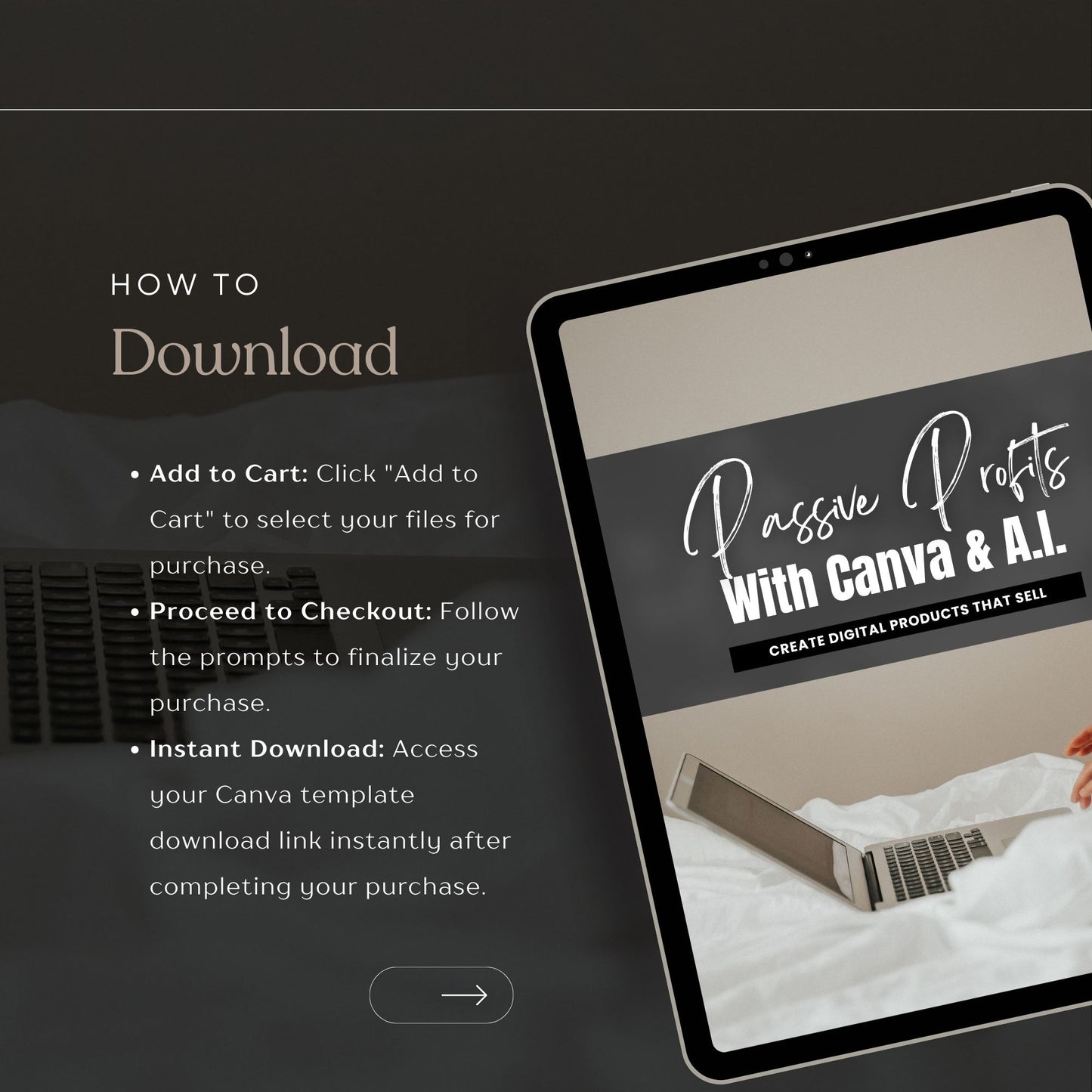 PLR Passive Profits e-book