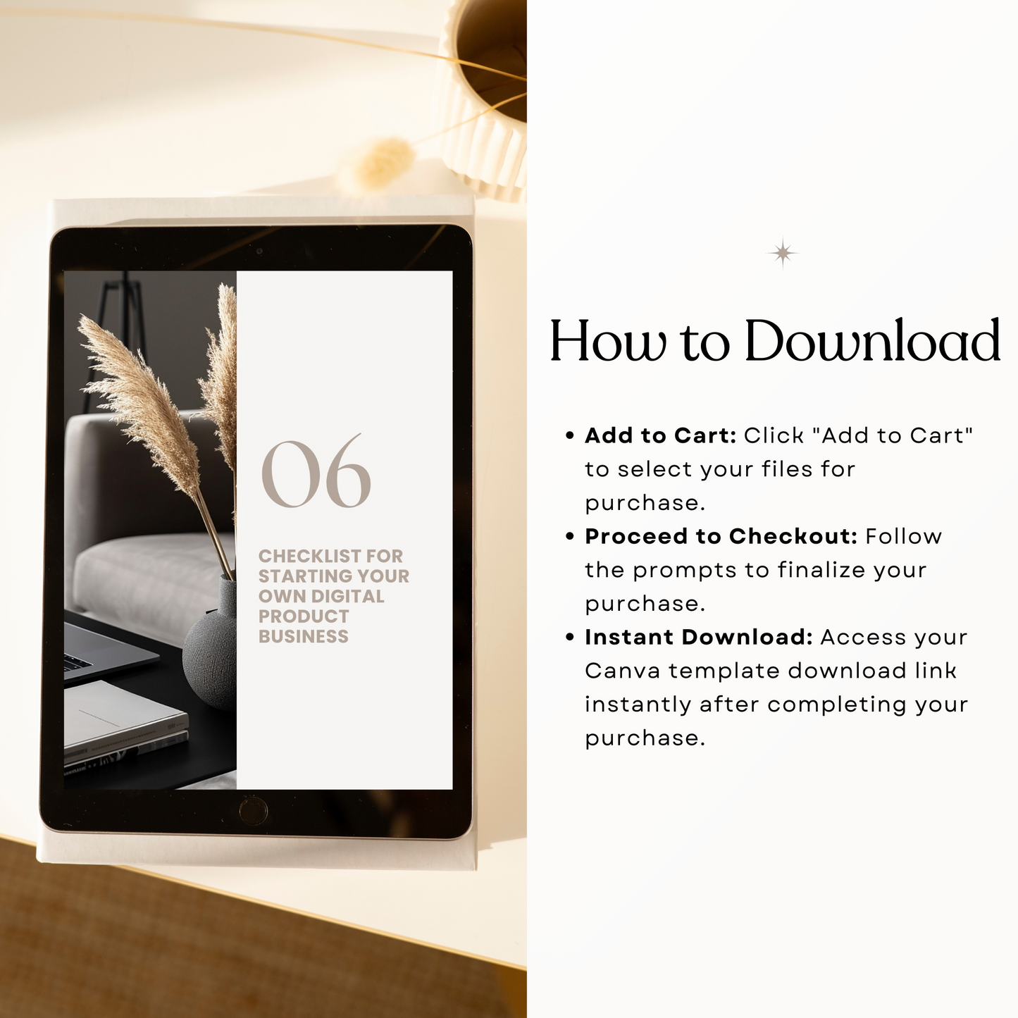 Financial Freedom with MRR Products Guide