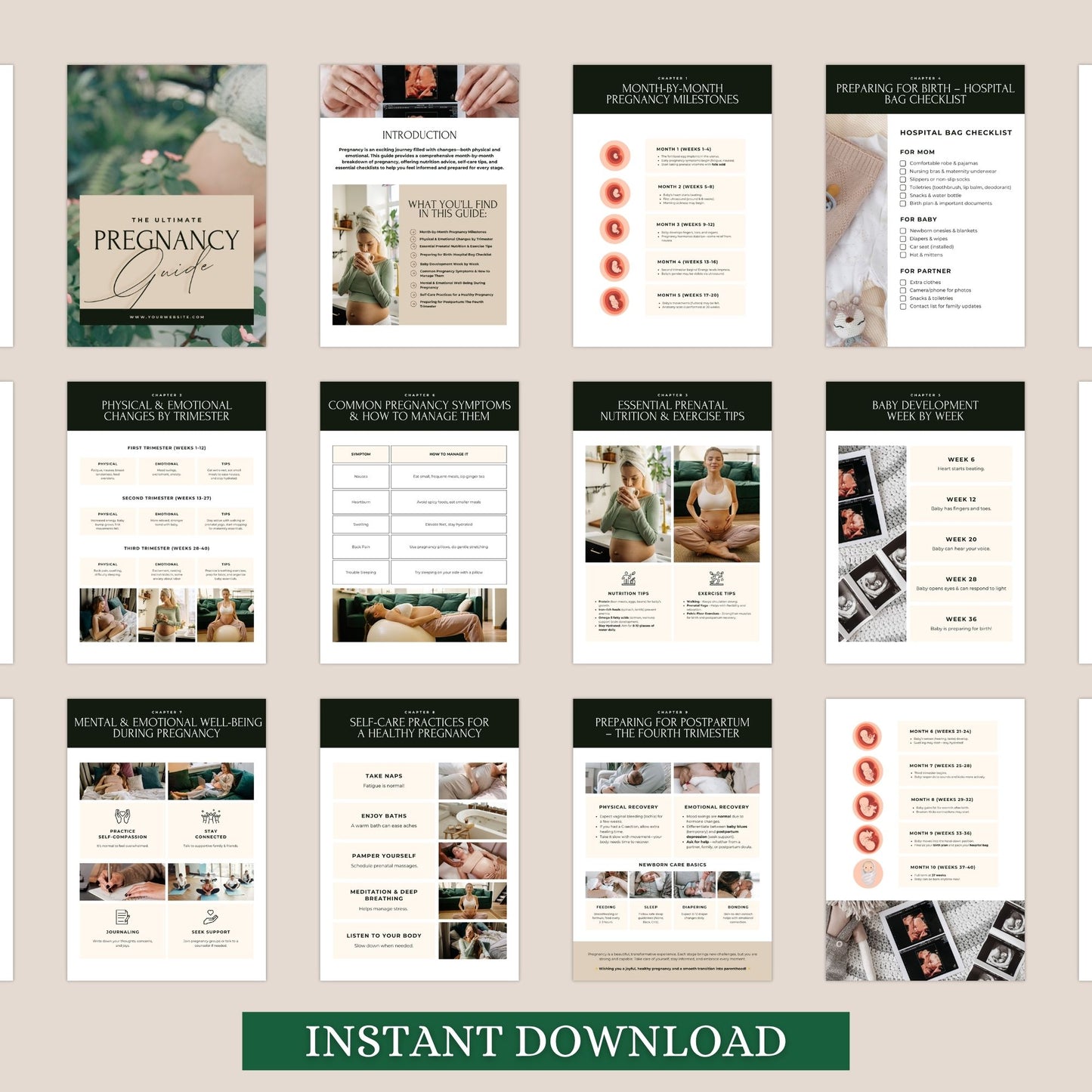 Editable Pregnancy Guide for Moms with MRR