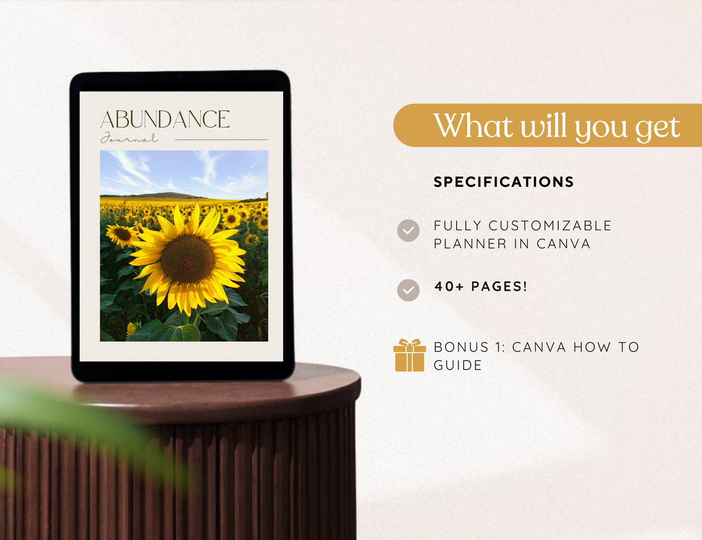 PLR Abundance Journal