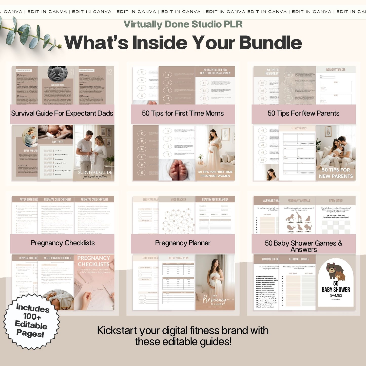 Pregnancy Niche Starter Bundle