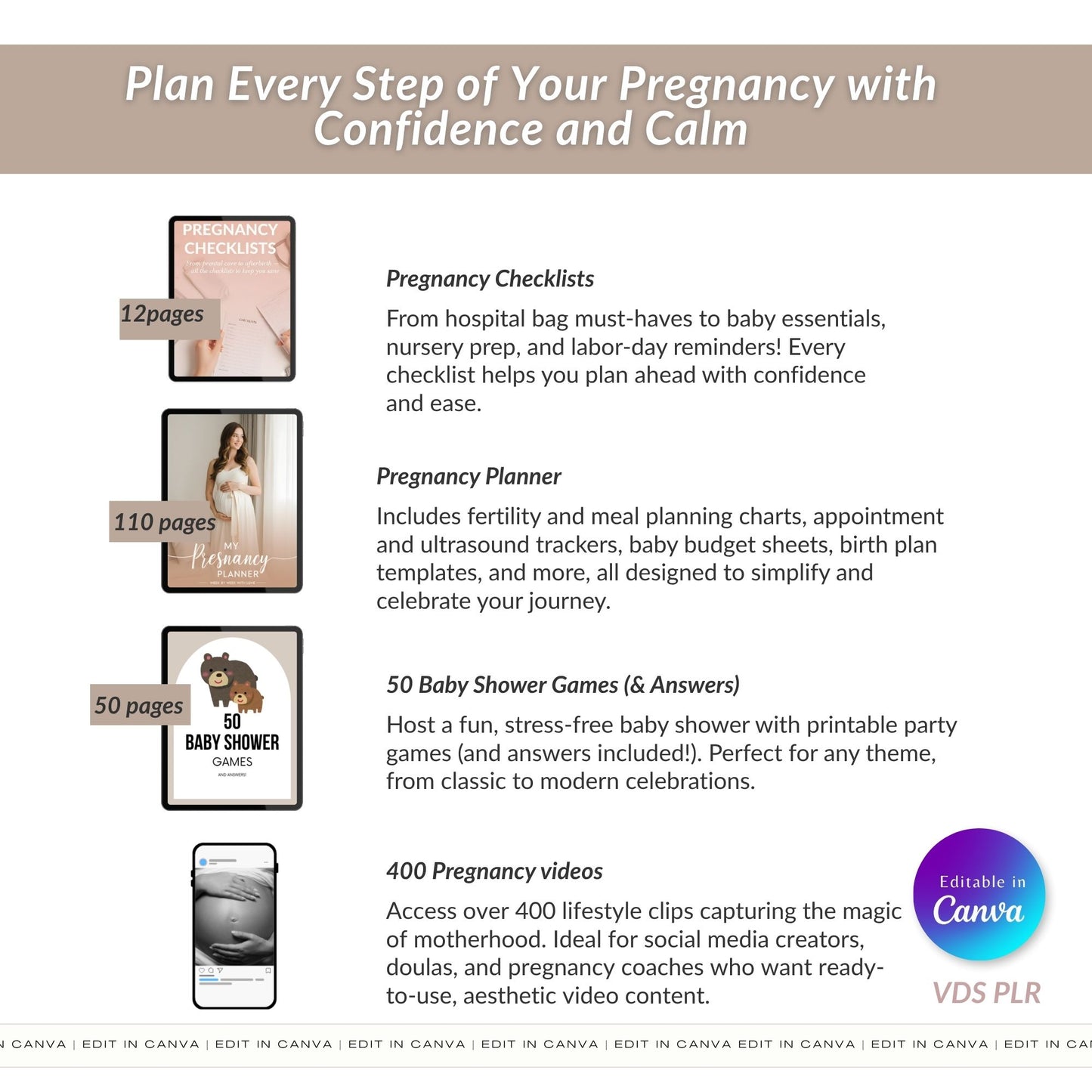Pregnancy Niche Starter Bundle
