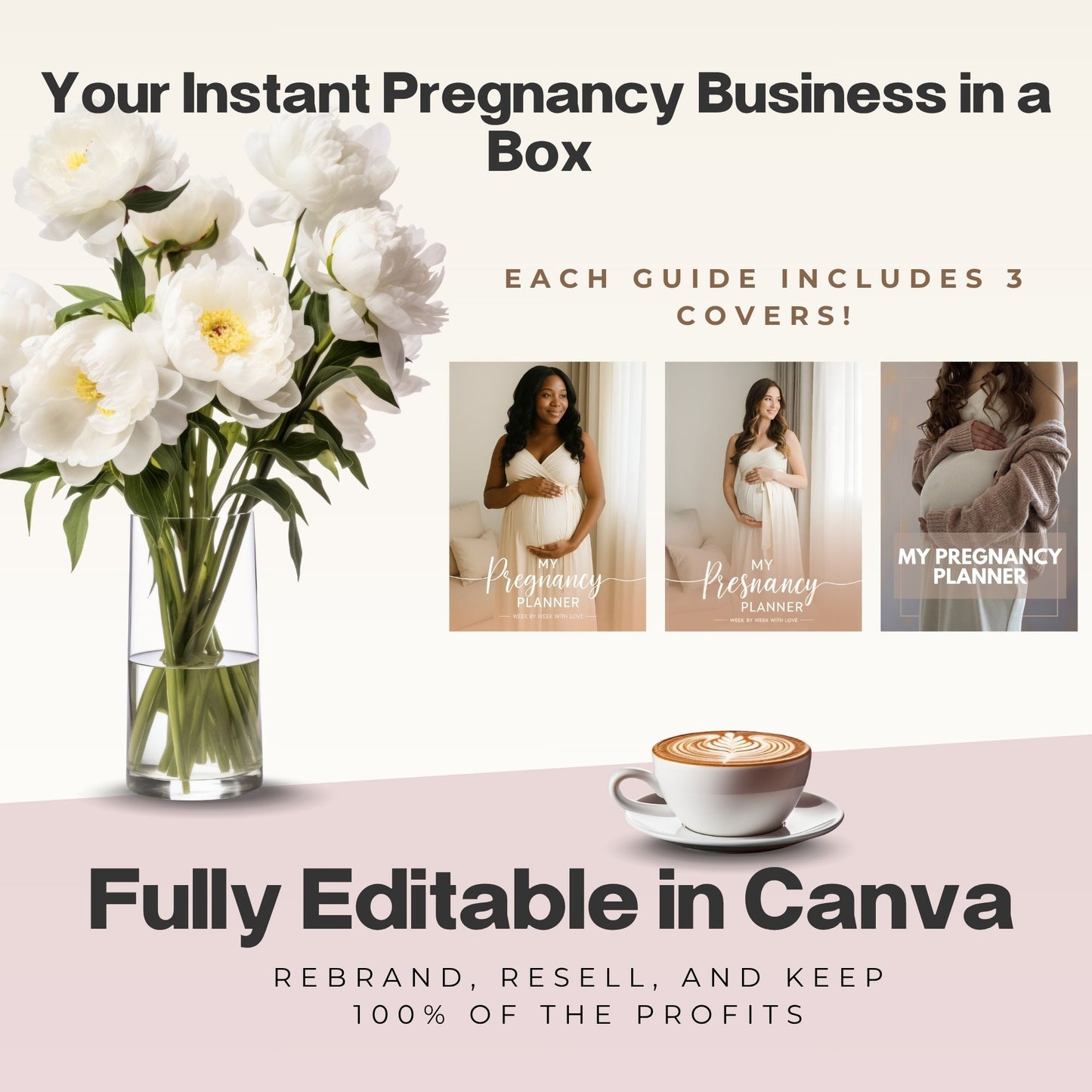 Pregnancy Niche Starter Bundle