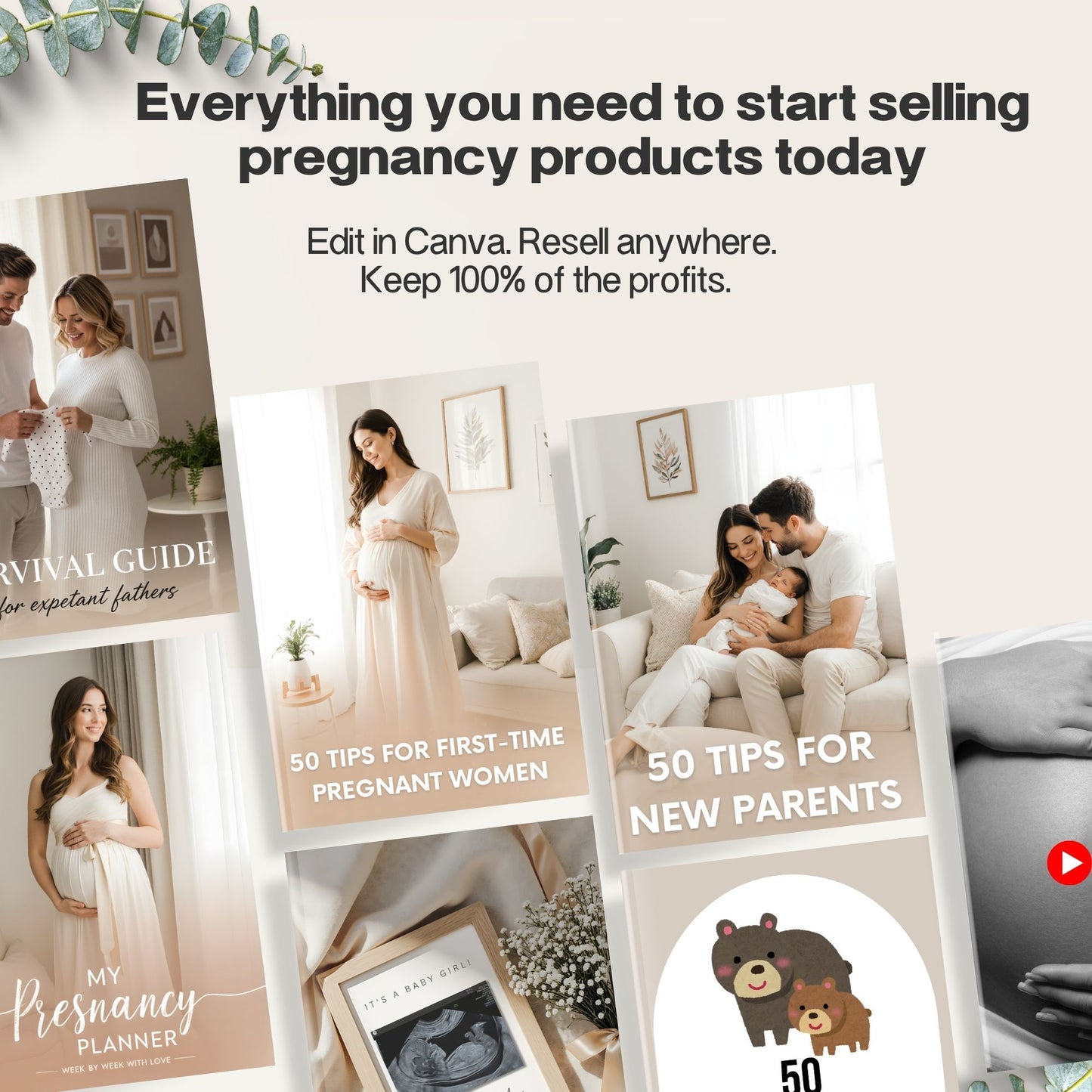 Pregnancy Niche Starter Bundle