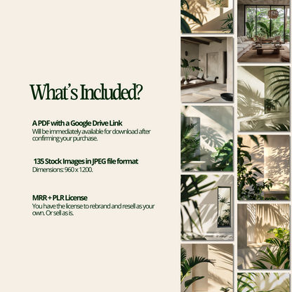 Nature Green Lifestyle Stock Image Bundle