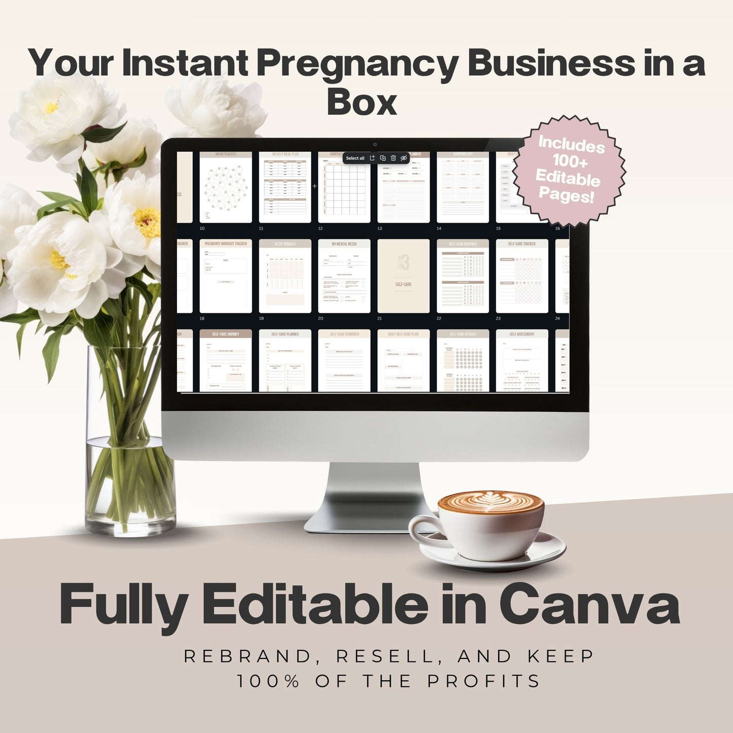 Pregnancy Niche Starter Bundle