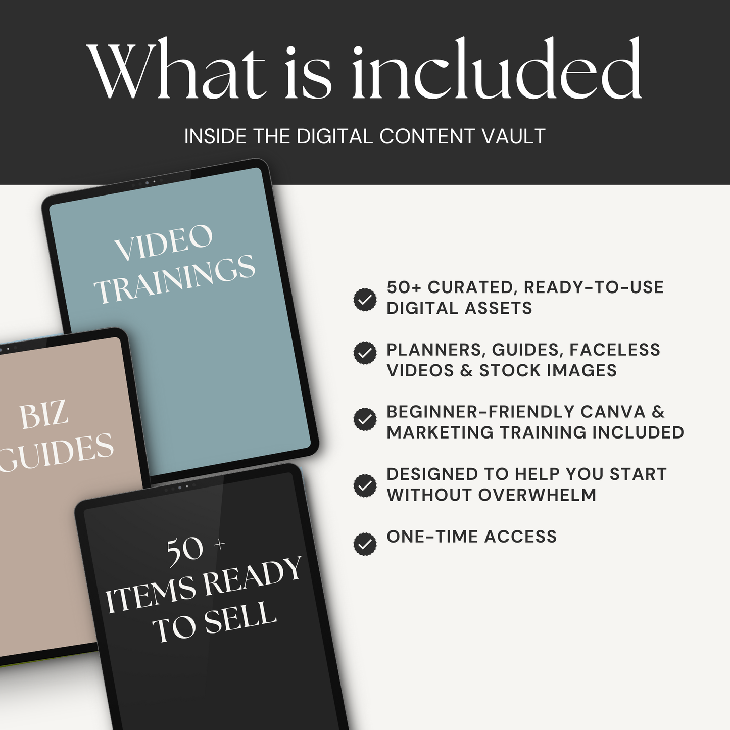 Ultimate Digital Content Vault + Trainings