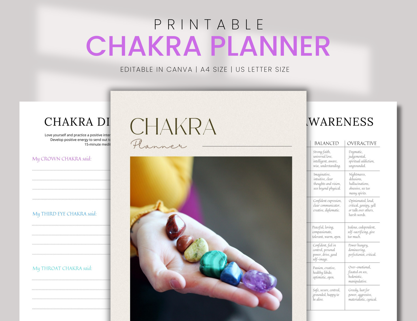 PLR Chakra Planner