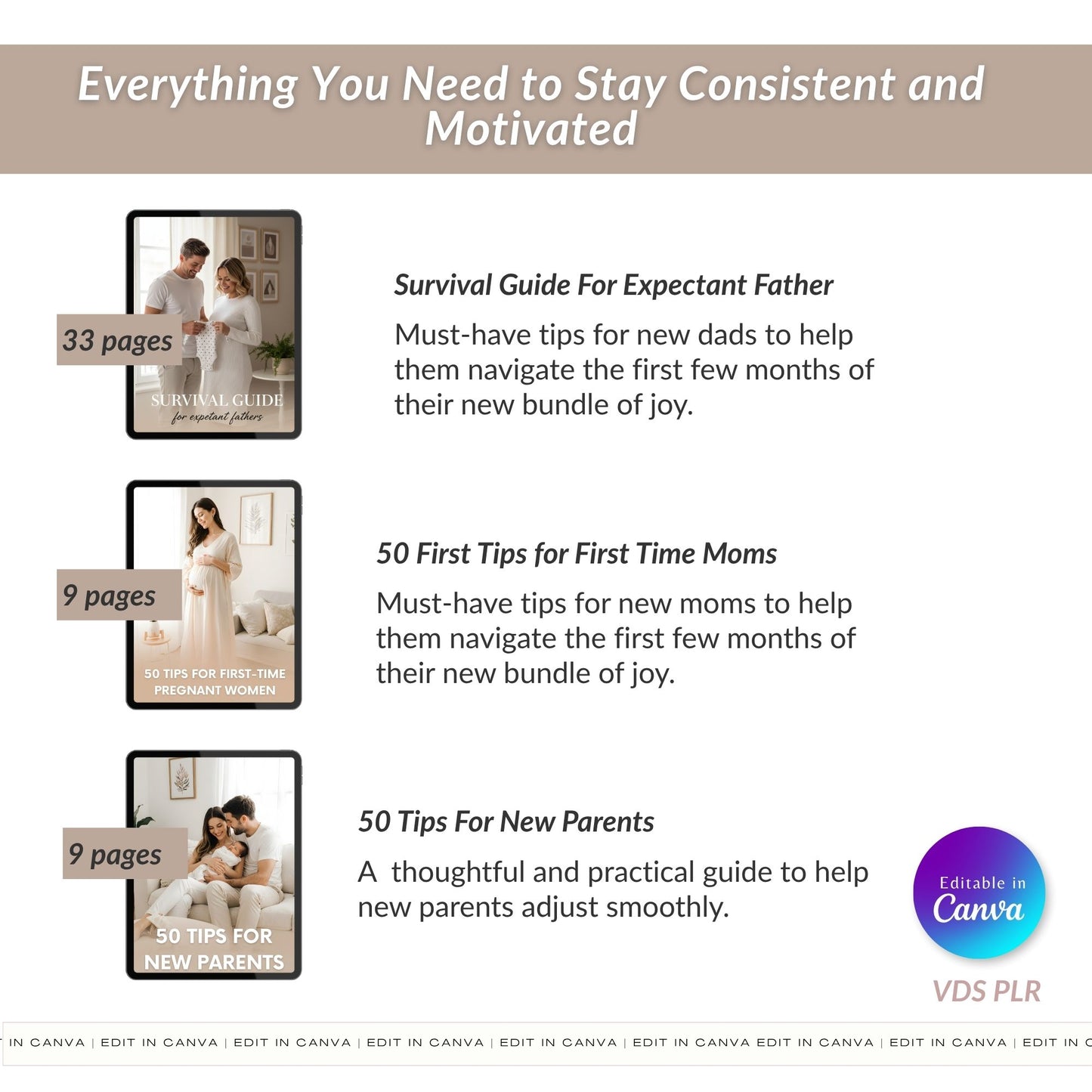 Pregnancy Niche Starter Bundle