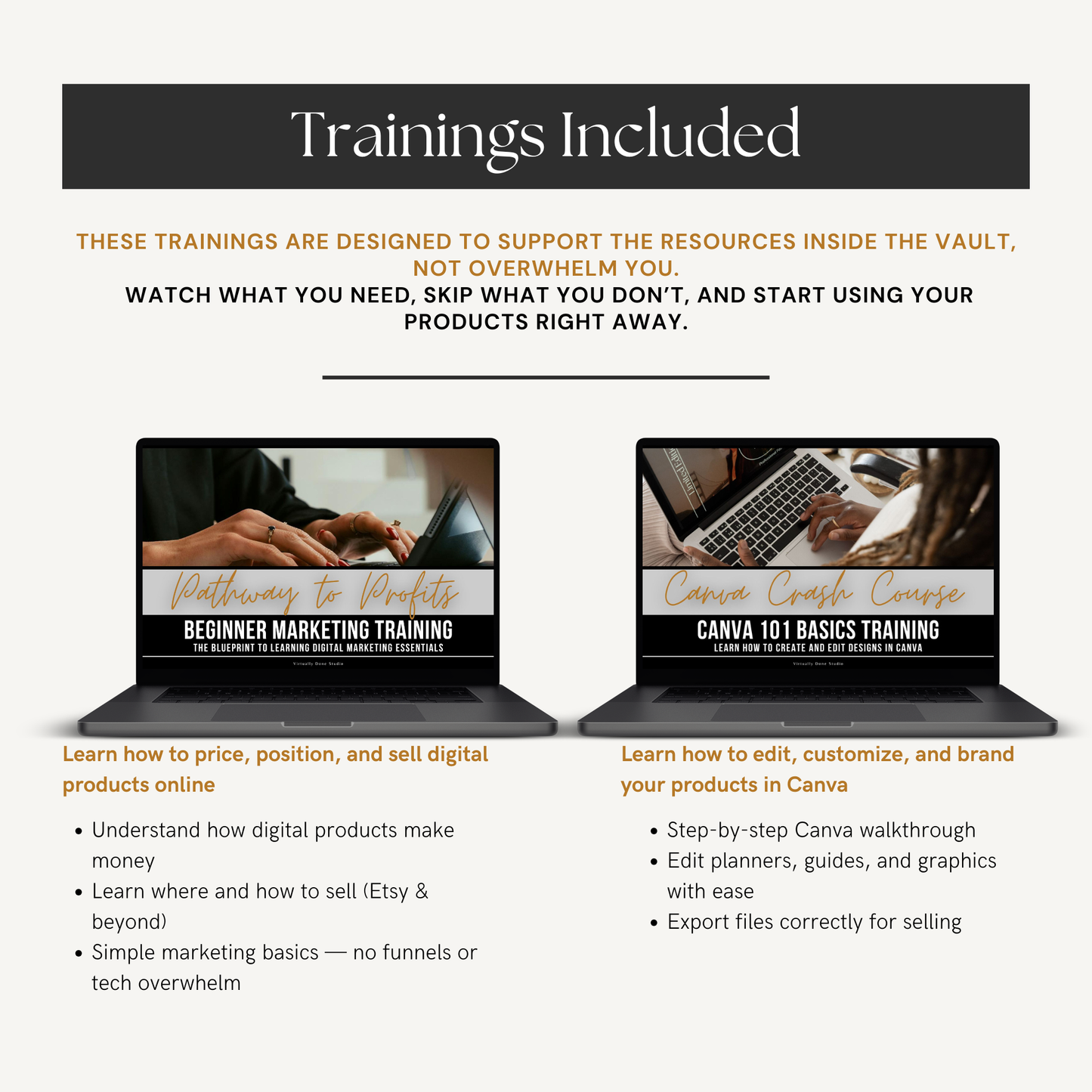 Ultimate Digital Content Vault + Trainings